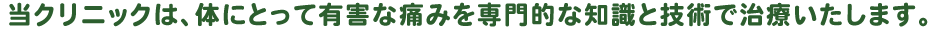 当クリニックは、体にとって有害な痛みを専門的な知識と技術で治療いたします。